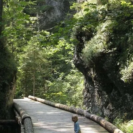 Schmautz & Apartmán