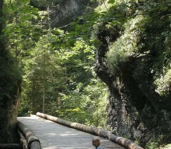 Schmautz & Appartement